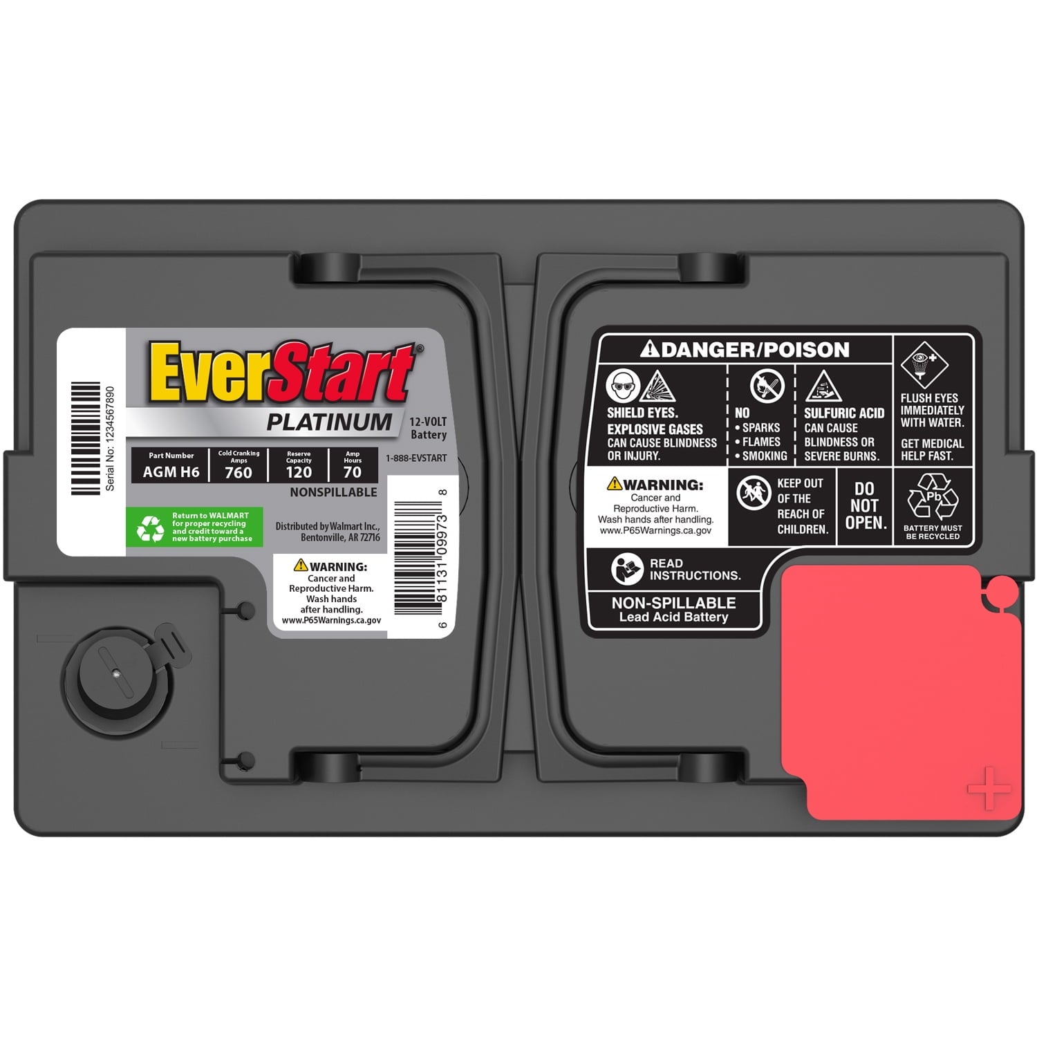 EverStart Platinum AGM Battery, Group Size H6