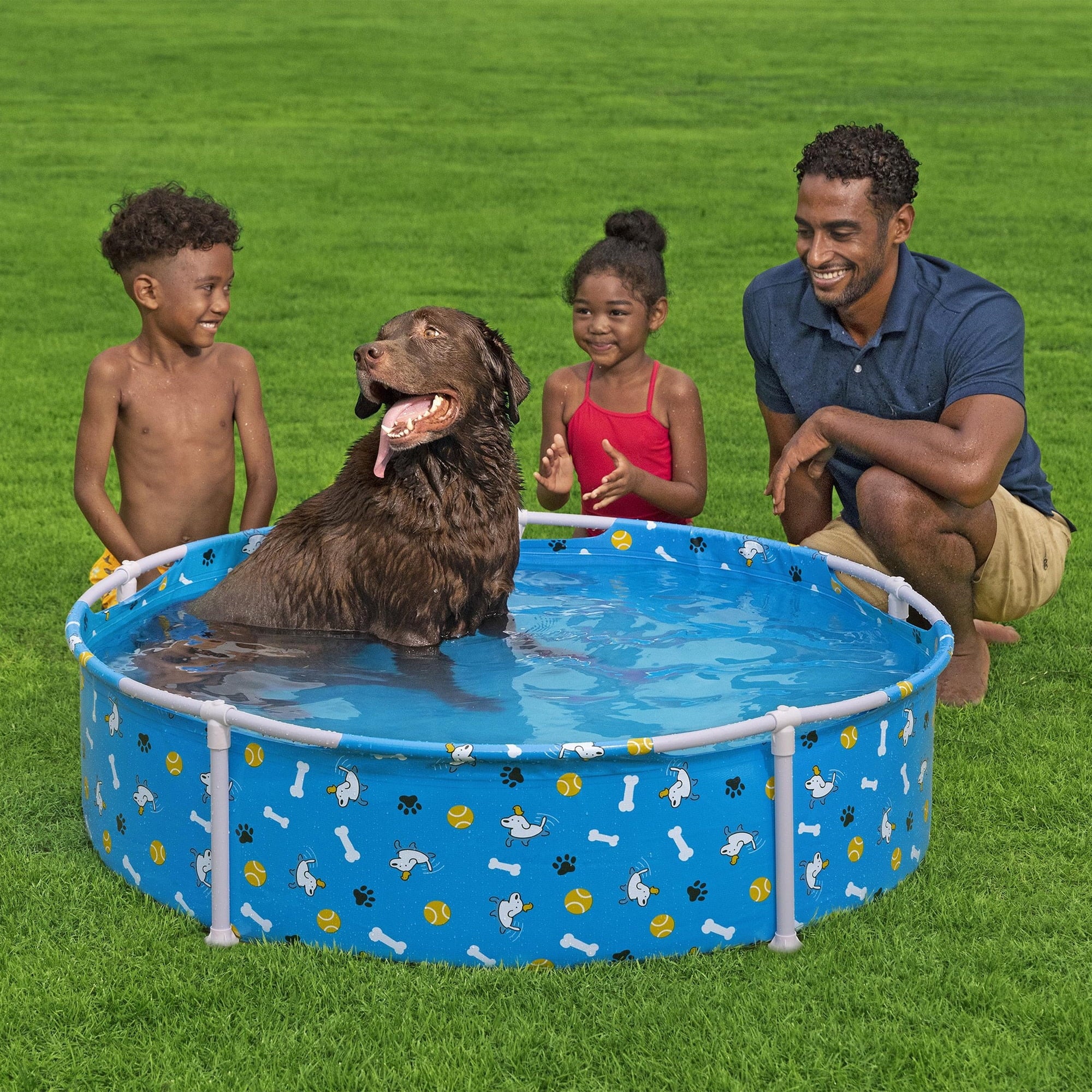 H2OGO! Fetchin' Fun Pet Play Pool - Blue, 48 Dog Splash-Swim-Wade Tub, Bone-Ball- Paw Print, Metal Frame, Tritech Liner, Outdoor Animal Water Play